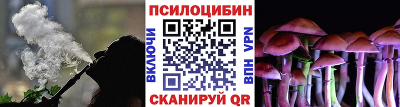 Галлюциногенные грибы Psilocybe купить цена Электросталь